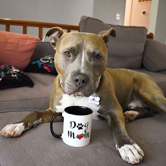 Dog Mom Mug W/Color Handle