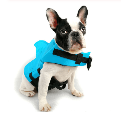 Shark Fin Dog Life Vest